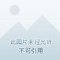 别黑化! 猫毛儒