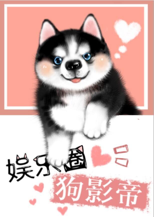 娱乐圈影帝甜宠文