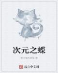 次元之王