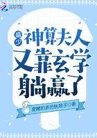 盛少撩妻100式免费全文阅读