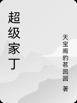 超级家丁电子书